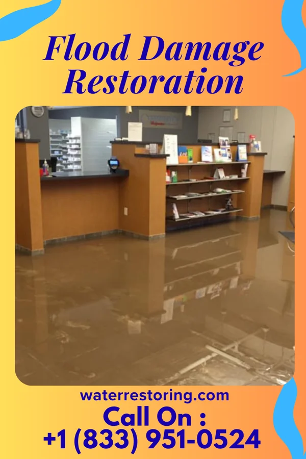 Flood Damage Restoration in Woodland Hills, KY