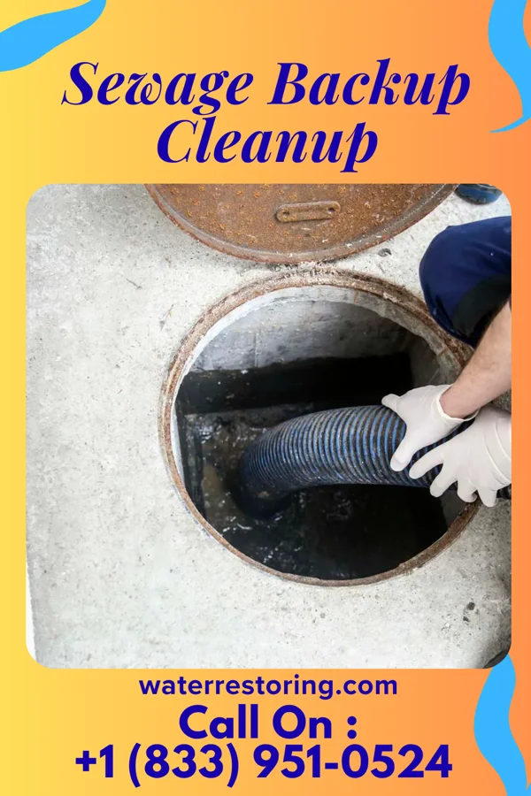 Sewage Backup Cleanup in Woodland Hills, KY